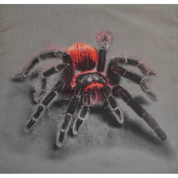 3D obliečka na vankúšik Apex- Pavúk - Obliečka na vankúšik